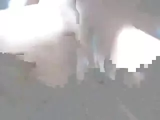Người phim bo chong va nang dau nhat ban Mỹ gốc phi gái, Da trong phòng khách